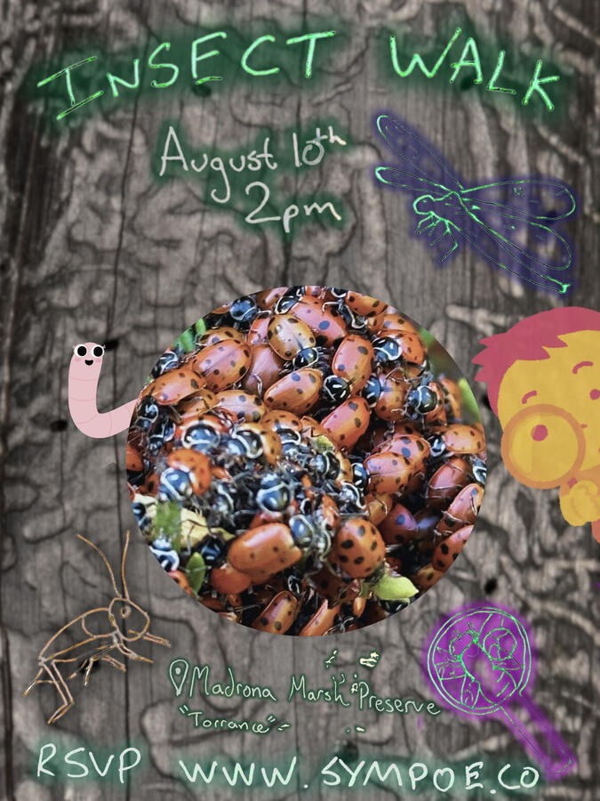 Insect Walk Flyer