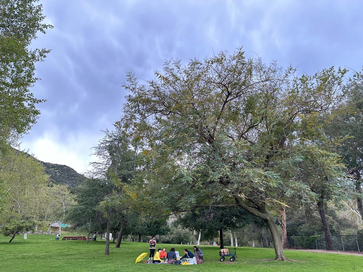 Culture Swap Friends