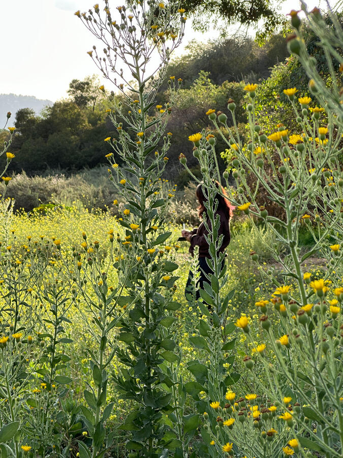 Collective Exploration of Interbeing